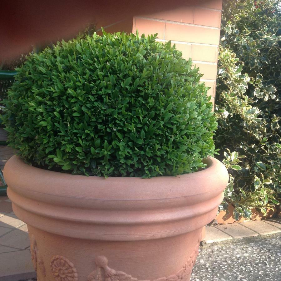 Casale El Galet Appartement Moniga del Garda Buitenkant foto